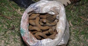 বাংলাদেশে রেলপথ ঘিরে নাশকতার জালবিস্তার করেছে দুর্বৃত্তরা।