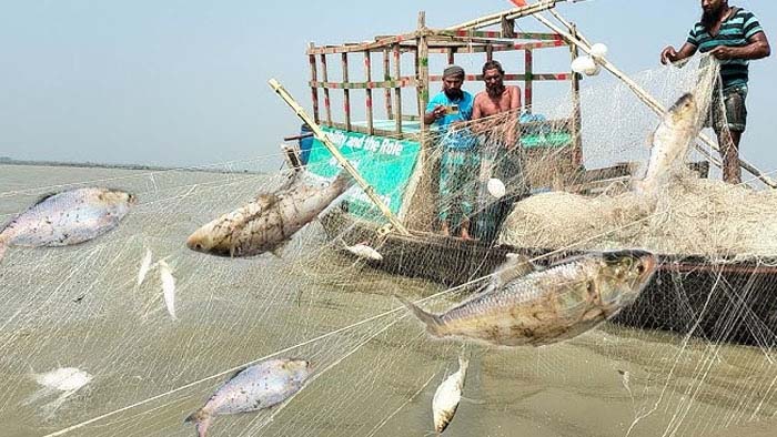 মা ইলিশ রক্ষায় সরকারের নেওয়া পদক্ষেপ অবৈধ মাছ আহরণের বিরুদ্ধে কঠোর ব্যবস্থা 
