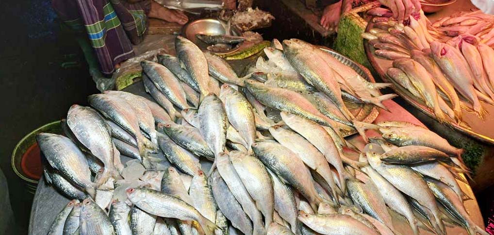  পূজাকে সামনে রেখে ইলিশ মাছ ও সবজির বাজার উর্ধমুখী
