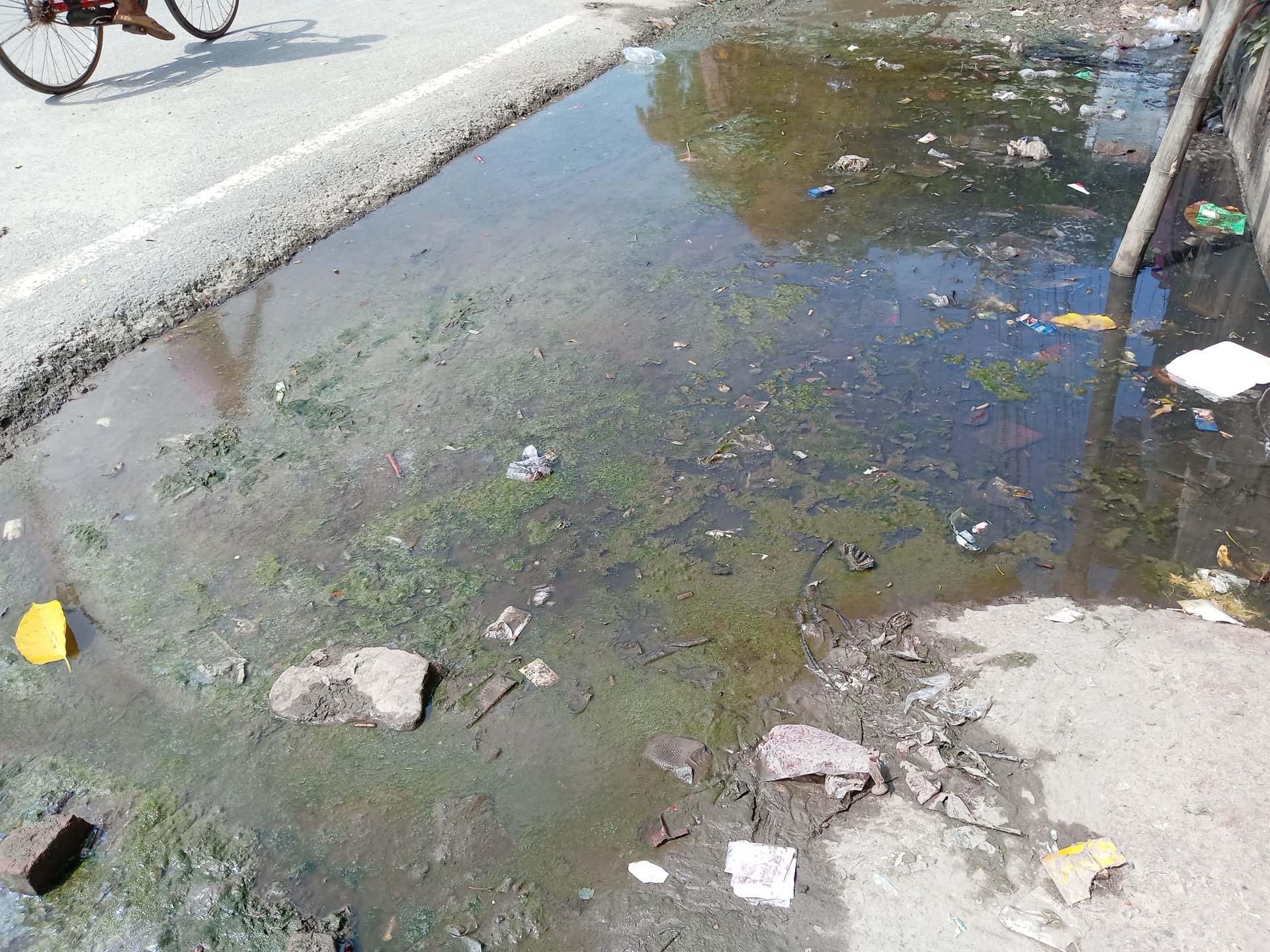 বেনাপোল স্থল বন্দর সড়কের পাশে পুতিগন্ধময় পানিতে মশার উপদ্রপ