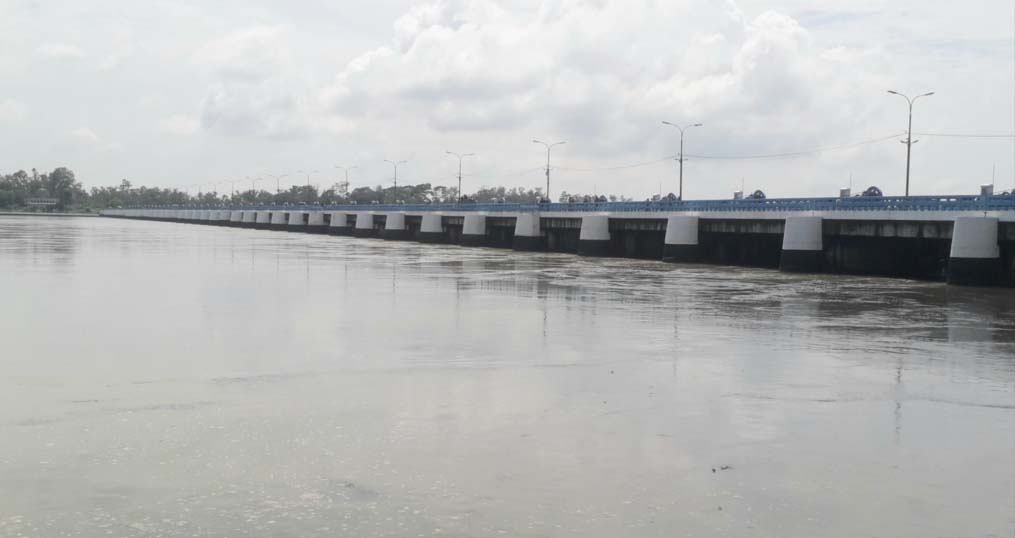 ৫৪ বছরে নদীর সমস্যায় উদ্যোগ নেওয়া হয়নি : আনু মুহাম্মদ