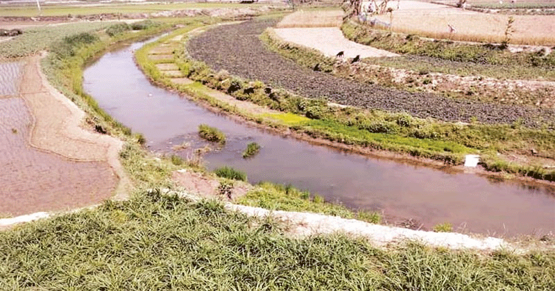 চলতি শতাব্দীতেই বাংলাদেশে শীত প্রায় বিলুপ্তির আশঙ্কা: জলবায়ু প্রতিবেদন