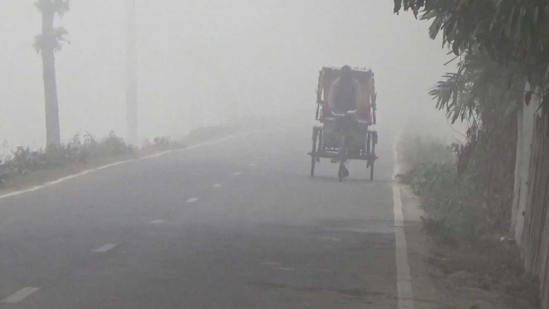 প্রকৃতিতে শীতের পদধ্বনি, বাঙালির সংস্কৃতি ও অনুভূতির স্নিগ্ধ ঋতু