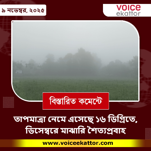 তাপমাত্রা নেমে এসেছে ১৬ ডিগ্রিতে, ডিসেম্বরে মাঝারি শৈত্যপ্রবাহ