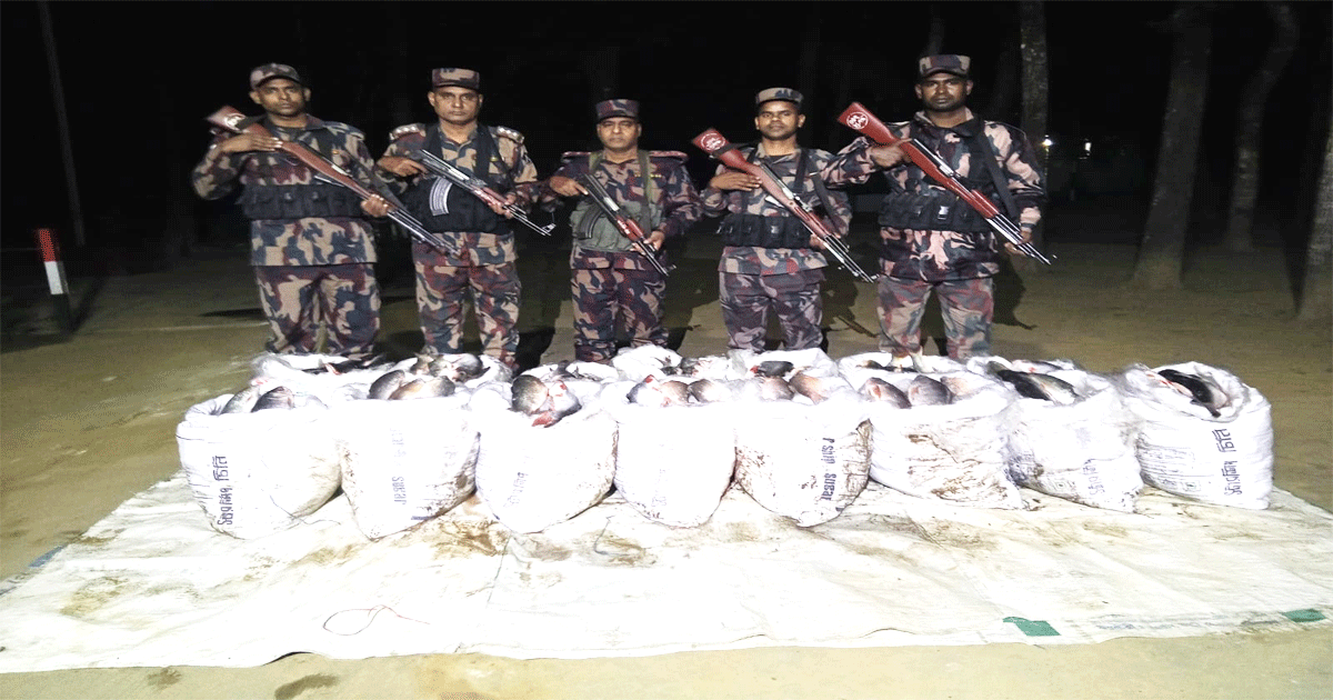 বিজিবির রাতভর অভিযানে কোটি টাকার মদ, কসমেটিকস ও চোরাচালানী পণ্য জব্দ