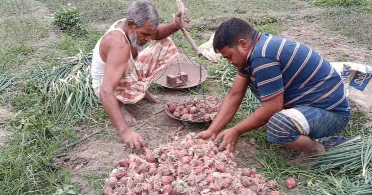 সিন্ডিকেটের দৌরাত্ম্য ঠেকাতে সীমিত আকারে পেঁয়াজ আমদানির অনুমতি