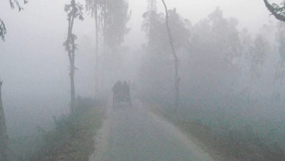 উত্তর জনপদের পাঁচ জেলায় বয়ে যাচ্ছে শৈত্যপ্রবাহ, ঘণকুশায় ঢেকে গেছে গ্রামীণ জনপদ : ছবি সংগ্রহ