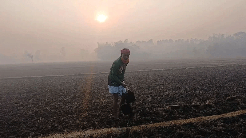 উত্তর জনপদের পাঁচ জেলায় বয়ে যাচ্ছে শৈত্যপ্রবাহ, ঘণকুশায় ঢেকে গেছে গ্রামীণ জনপদ : ছবি সংগ্রহ