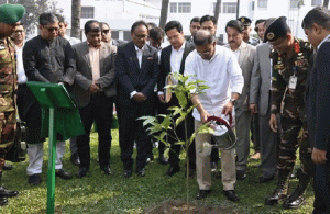 তেজগাঁও অফিসে প্রধানমন্ত্রী তারেক রহমানের কর্মসূচনা: স্বর্ণচাঁপা চারা রোপণ ও মোনাজাত