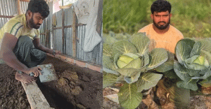 চাকরি ছেড়ে কৃষিতে আত্মনিয়োগ,  সফলতার নজির সেলিমের