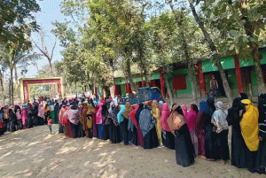 ধানের শীষে জোয়ার, দাঁড়িপাল্লায় উত্থান, দ্বিকক্ষ সংসদের পথে বাংলাদেশ