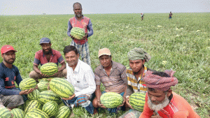 মেঘনার বুকে জেগে ওঠা স্বপ্ন, লাখো মানুষের কর্মসংস্থানের নতুন ঠিকানা