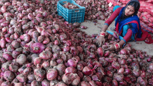 পেঁয়াজ-আলুর দামপতনে কৃষকের কান্না, `কৃষিপণ্য কমিশন গঠনের দাবি'