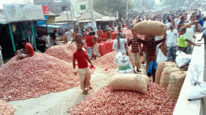 পেঁয়াজ-আলুর দামপতনে কৃষকের কান্না, `কৃষিপণ্য কমিশন গঠনের দাবি'