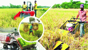 বাংলাদেশে খাদ্য উৎপাদনে কৃষিখাতে সহায়তা ও রক্ষাণাবেক্ষণের প্রয়োজনীয়তা