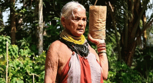 ভারতের ‘বৃক্ষমাতা’ তুলসী গৌড়া, প্রকৃতির সঙ্গে মানুষের সহাবস্থানের অনন্য নজির