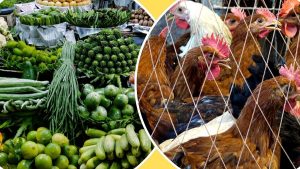 তেল-গ্যাসের দাম বৃদ্ধি: মানবিক অর্থনীতির চ্যালেঞ্জে নতুন করে মূল্যস্ফীতির চাপ