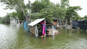 জলবায়ুঝুঁকিতে উপকূলের মানুষ, বেশি ভুগছেন নারীরা