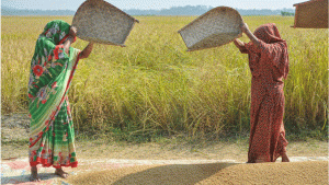 মাটির প্রাণ বাঁচাতে ও বিষমুক্ত ফসলের স্বপ্নে নিবেদিত প্রকৃতিবন্ধু উজ্জ্বল কুন্ডু 