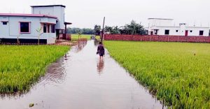 মৌলভীবাজারে আকস্মিক বন্যা, হাজারো মানুষ পানিবন্দি