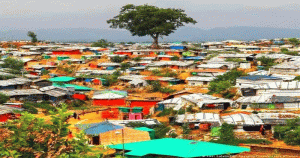 রোহিঙ্গা সহায়তায় ধস, বাড়ছে মানবিক শঙ্কা