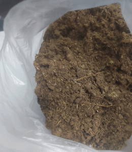 মাটির প্রাণ বাঁচাতে ও বিষমুক্ত ফসলের স্বপ্নে নিবেদিত প্রকৃতিবন্ধু উজ্জ্বল কুন্ডু