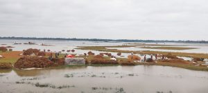 ধর্মপাশা ও মধ্যনগরে রোদে স্বস্তি, ধান শুকাতে ব্যস্ত হাওরের কৃষক