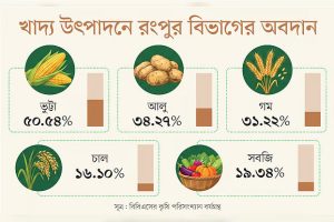 শস্যভান্ডার রংপুর: কৃষিভিত্তিক শিল্পই হতে পারে উন্নয়নের নতুন পথ
