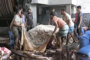 সাভার ট্যানারী পল্লীতে চামড়া  ঢুকেছে সোয়া ৫ লাখ