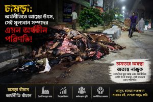 চামড়া: অর্থনীতিতে আয়ের উৎস, সেই মূল্যবান সম্পদের এমন অর্থহীন পরিণতি!
