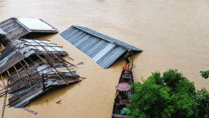 বন্যায় প্রাণিসম্পদ খাতে শতকোটি টাকার ক্ষতি, আক্রান্ত ৩০ লাখের বেশি হাঁস-মুরগি ও প্রায় ৪ লাখ গবাদিপশু