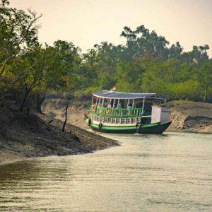 পরিবেশের মারাত্মক প্রভাবে হুমকির মুখে সুন্দরবন